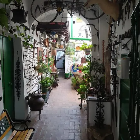 Casa Museo Jerez Centro Jerez de la Frontera Exterior photo